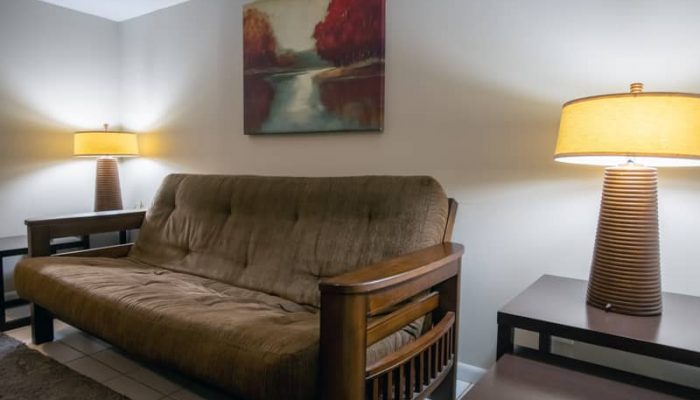 Lower Level Sitting Area