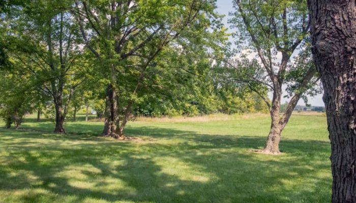 Backyard Property