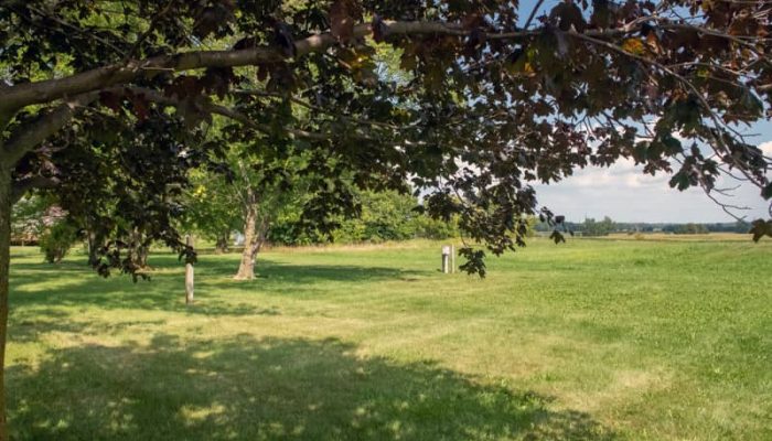 Backyard Property