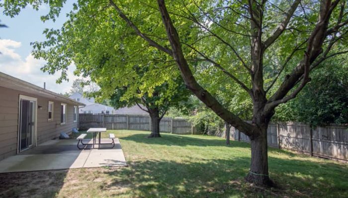 Backyard