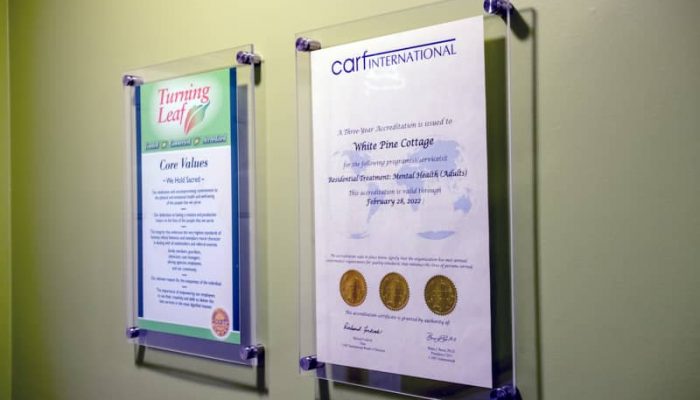 Core Values And CARF Accreditation